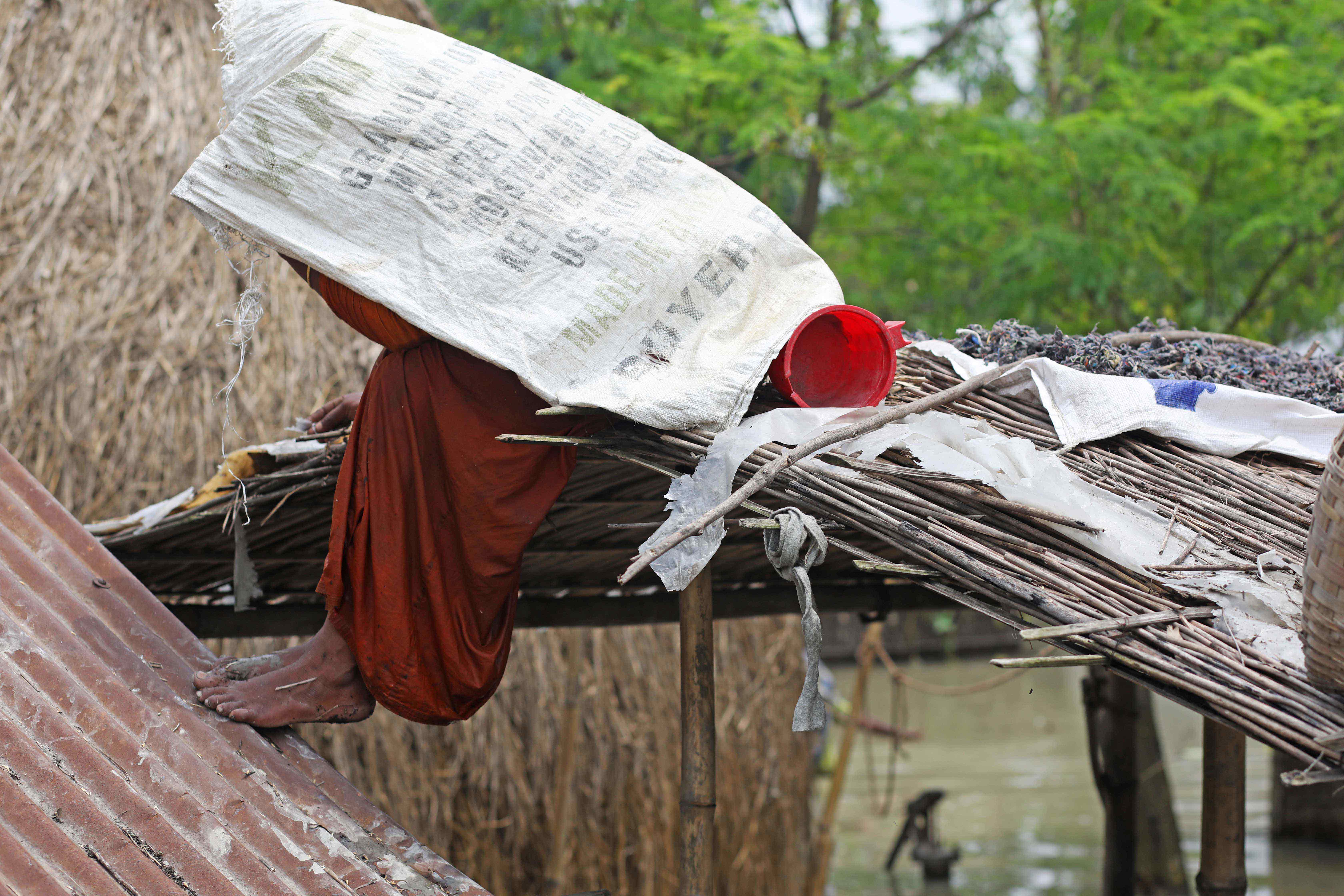 Environmental Crisis