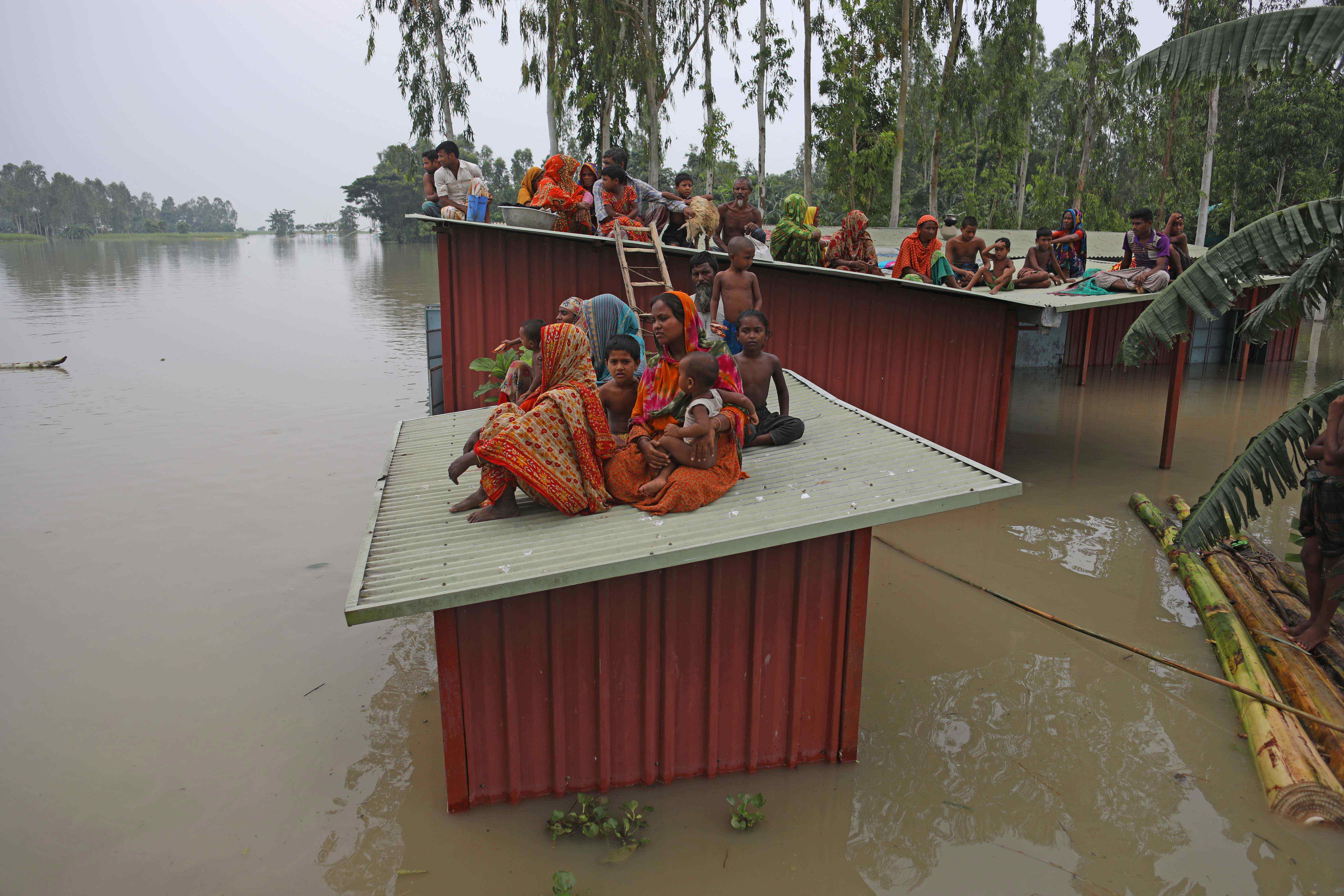 Environmental Crisis