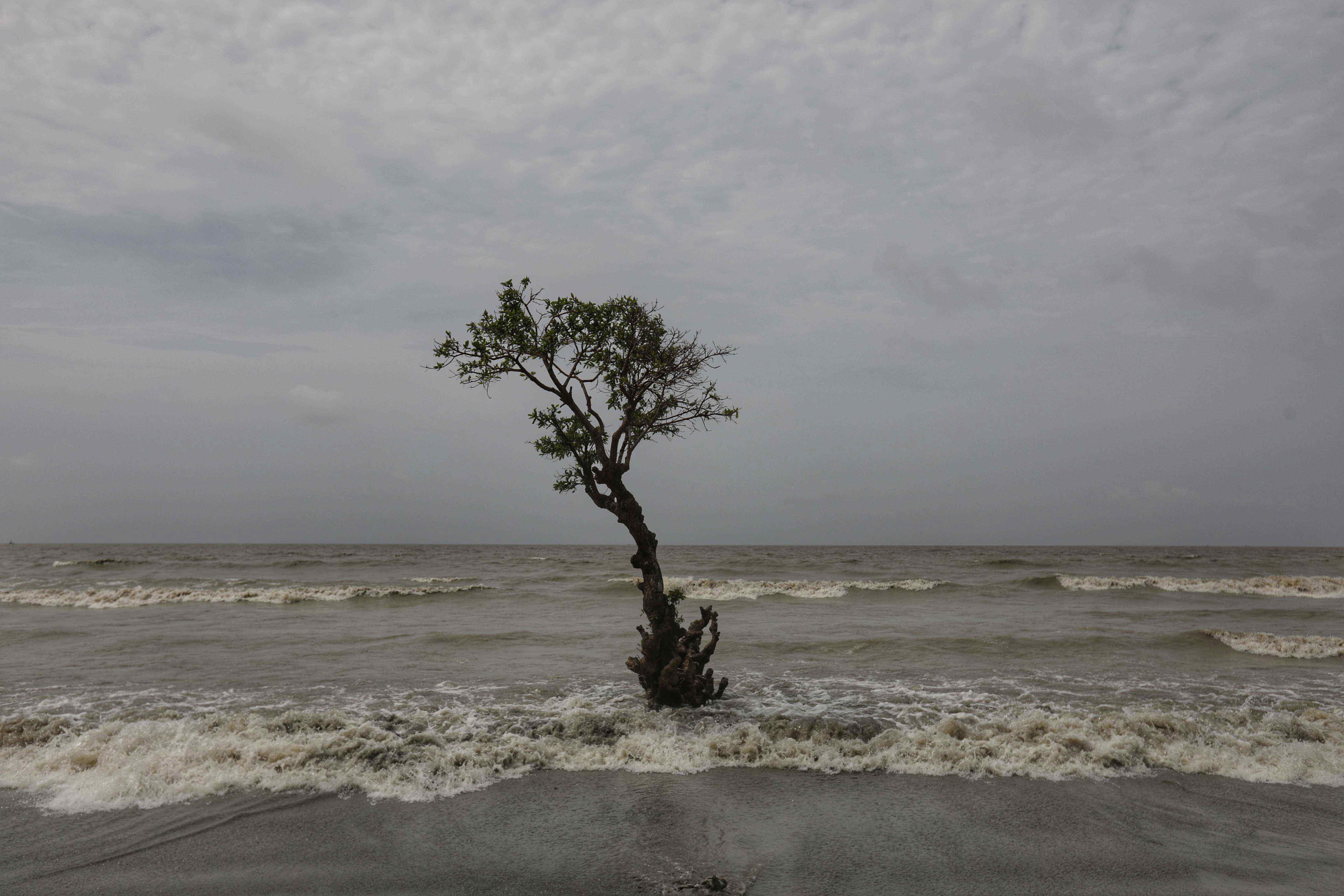 Environmental Crisis
