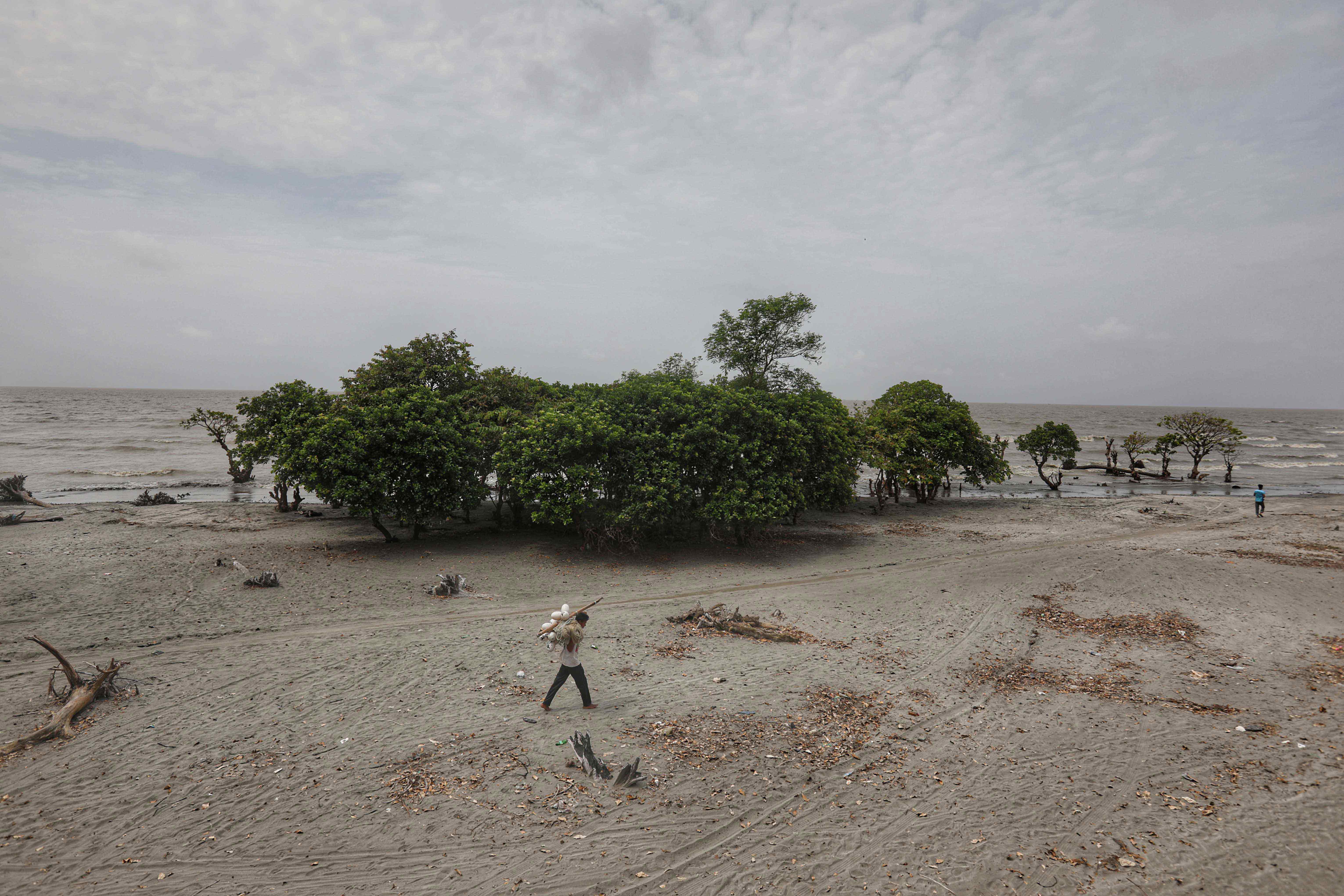 Environmental Crisis