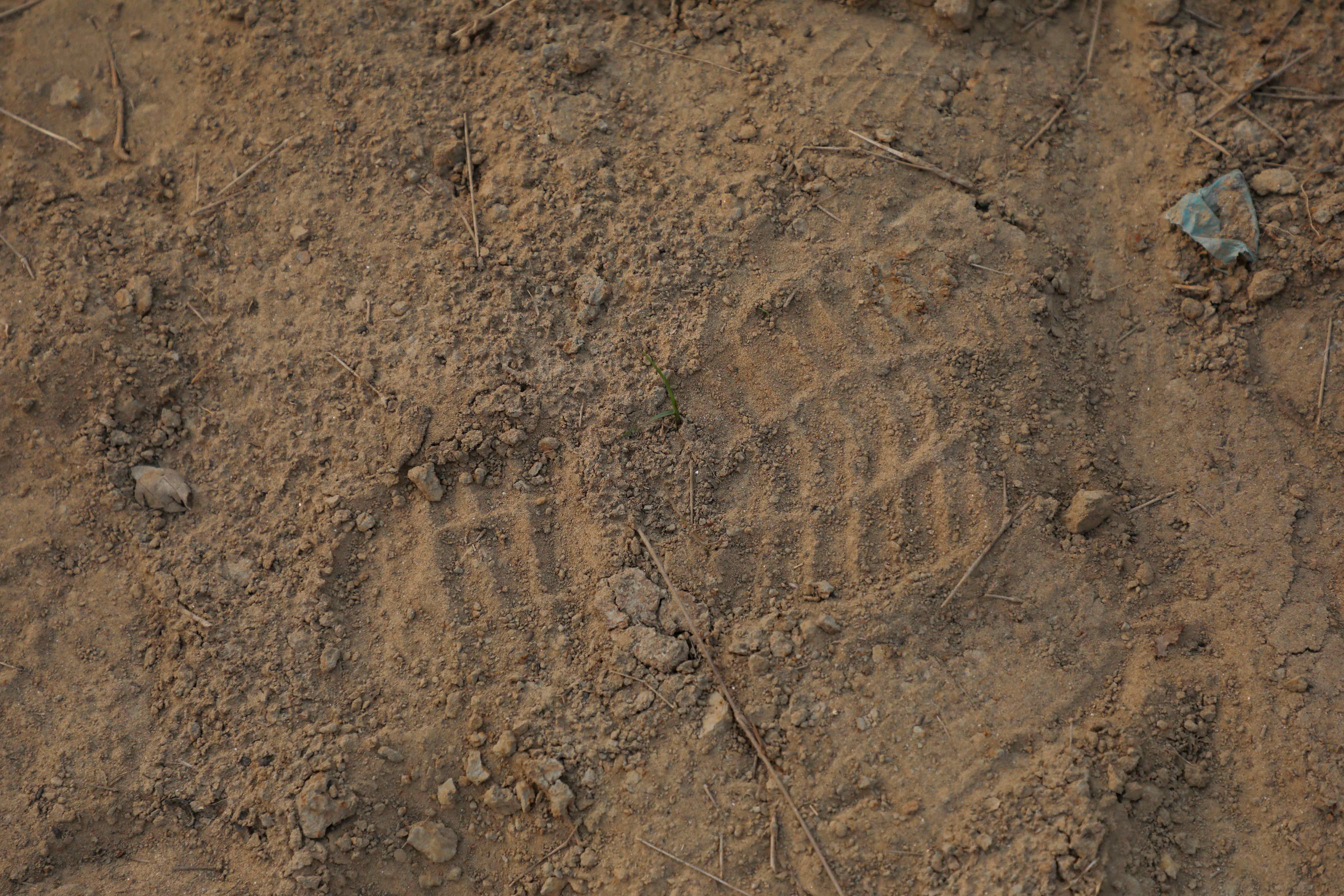 Shadows-without-graves_24